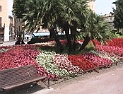 30 riva del garda